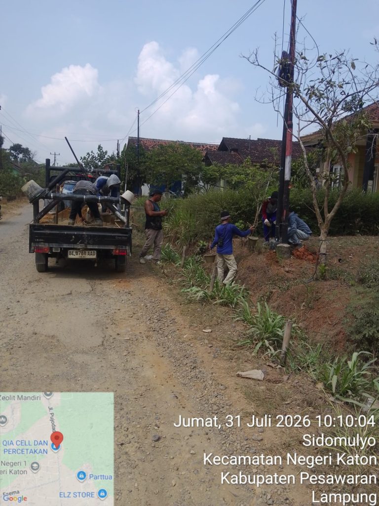 IMG-20260731-WA0015(1)